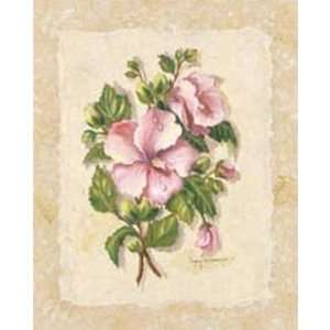  Rose Of Sharon Poster Print