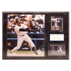  MLB Yankees Bernie Williams 2 Card Plaque Sports 
