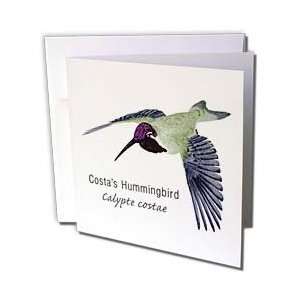  Boehm Graphics Hummingbird   Costas Hummingbird   Greeting 