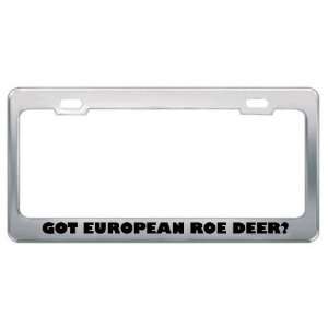 Got European Roe Deer? Animals Pets Metal License Plate Frame Holder 