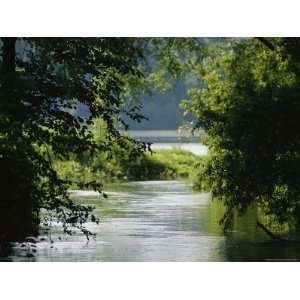  A Riparian Forest Borders the Susquehanna River 