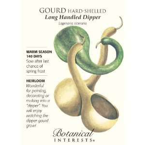  Gourd Hard shelled Long Handled Dipper Seed Patio, Lawn 