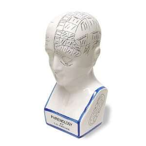  Large Phrenology Head   Porcelain 13 Tall POR 37843