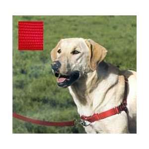  Large Easy Walk Harness   Red