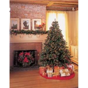   Lights 9 1/2 Foot Chesapeake Christmas Tree Pre Lit with Clear Lights