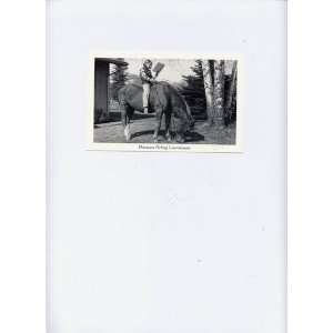    Single Duckboy Postcard (Montana Riding Lawnmower) 