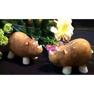  Home Grown Hippo Salt & Pepper Shakers