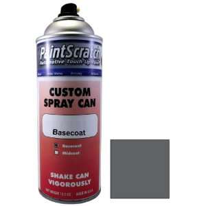 12.5 Oz. Spray Can of Moonrock Gray Metallic Touch Up Paint for 2006 