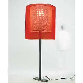  Moare floor lamp   110   125V (for use in the U.S., Canada 