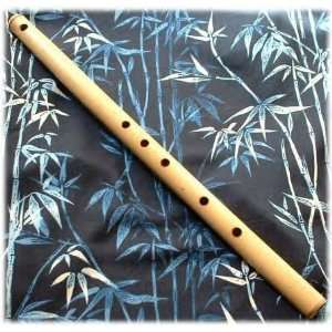  Didgeridoo Expo   Native American Bamboo Flute Musical 