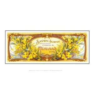  Savon Mimosas Poster Print