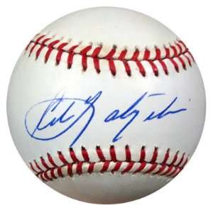 Signed Carl Yastrzemski Ball   AL PSA DNA #L71941   Autographed 