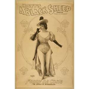  Poster Hoyts A black sheep 1900