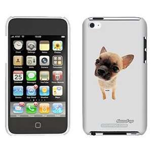  Chihuahua Puppy on iPod Touch 4 Gumdrop Air Shell Case 