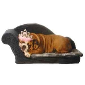  English Bulldog Lying in Dog Bed with Tiara Isolated on 