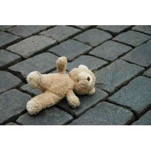 Little Teddy bear Laying on the Cobblestones   Peel and 