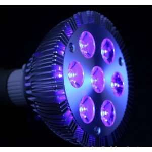  1 Watt Ultraviolet 7 LED Light Bulb 110v 220v AC