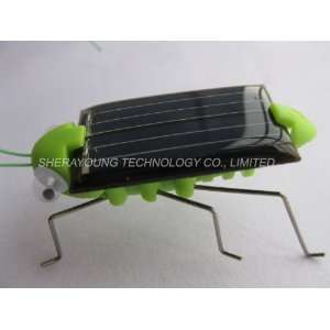  solar grasshopper bug insects eco friendly green toys 