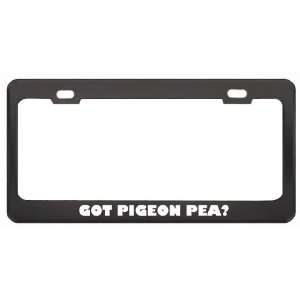 Got Pigeon Pea? Eat Drink Food Black Metal License Plate Frame Holder 