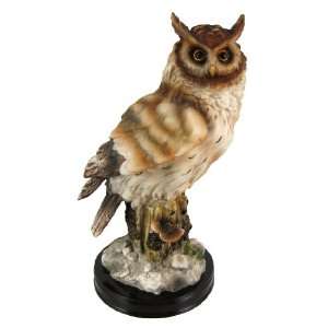  Hand Painted Wise Old Owl Statue Figure