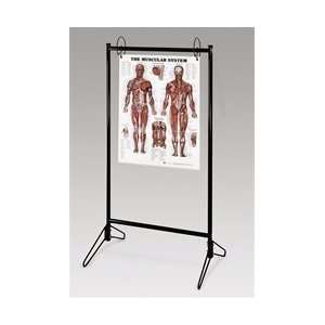 Portable Anatomical Chart Stand   Holds up to 25 Anatomical Charts 