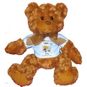   CRAZY THINGS BUT CPAs ARE PERFECTLY SANE Plush Teddy Bear with BLUE T