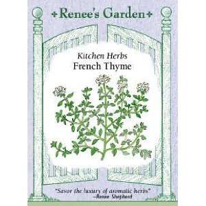  Thyme Seeds Heirloom French 1000 Seeds