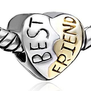   BEST FRIENDS Charm Bead for European Bracelet Arts, Crafts & Sewing