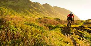 From race day to all day, you need a trail bike thats light and agile 