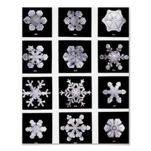 Wilson Bentley Snowflakes Print