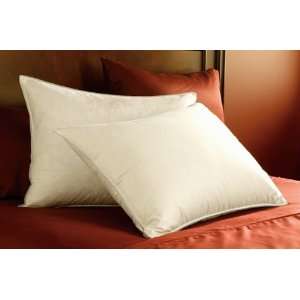  Pacific Coast® Eurofeather™ Pillow Health & Personal 