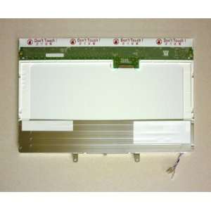  DELL MN906 LAPTOP LCD SCREEN 12.1 WXGA CCFL DUO 