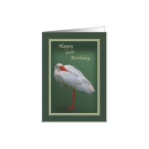  Birthday, 91st, White Ibis Bird Card Toys & Games