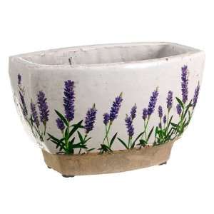 25hx5.5wx8.75l Terra Cotta Lavender Planter Cream Lavender (Pack 