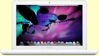 10.1 Netbook LCD Screen Repair Acer Asus Dell Gateway  