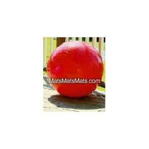  Exercise Ball with Pump (Burst Resistant); Burst Resistant 
