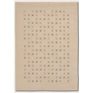   126 Area Rug Contemporary Style in Sand Color Furniture & Decor