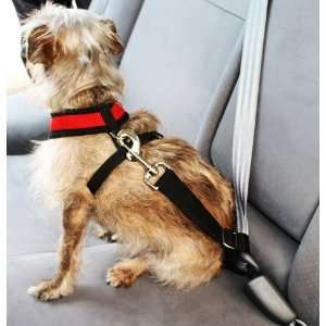  Doggie Seatbelt   The Safe, Easy to Use, and Secure 