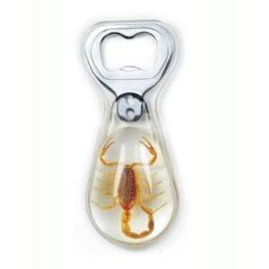  Real Insect Bottle Opener Golden Scorpion (clear,big 
