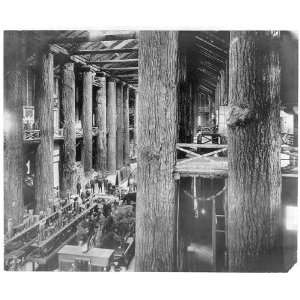  Forestry Building,Lewis,Clark Centennial,Portland,1905 