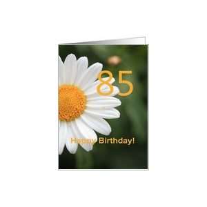  85th Birthday card, white daisy Card Toys & Games