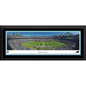  Carolina Panthers DELUXE Framed Print