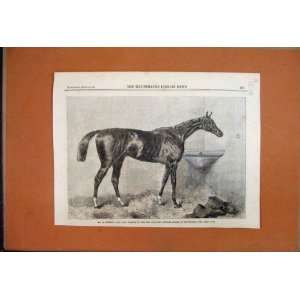    1866 Mr Sutton Lord Lyon Racehorse Winner Newmarket