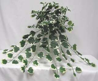 Silk VIREIGATED CREEPING CHARLIE Artificial PLANT  