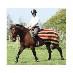  Rambo by Horseware Newmarket Competition Sheet