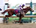 ll have another 2012 138th kentucky derby winner horse