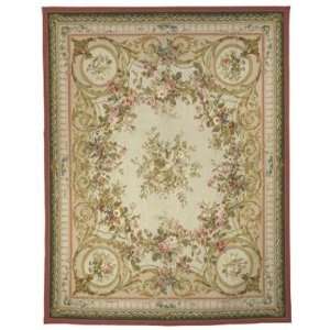  Peel & Company Aubusson AD 044A 9 X 12 Area Rug