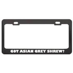 Got Asian Grey Shrew? Animals Pets Black Metal License Plate Frame 