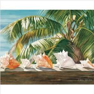   Parade Of Conchs Outdoor Art   Elaine Hahn Size 32 x 44 Home