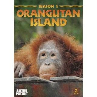 Orangutan Island Season 1
